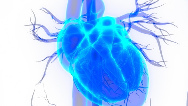 想长寿先测测心脏跳动是否符合这些标准